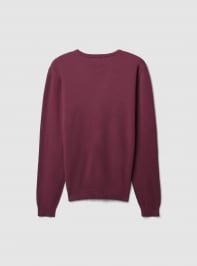 Maglia Uomo Terranova