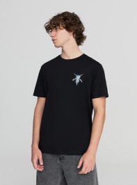 T-Shirt MC Homme Terranova