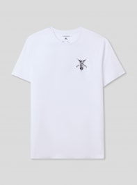 T-Shirt MC Uomo Terranova