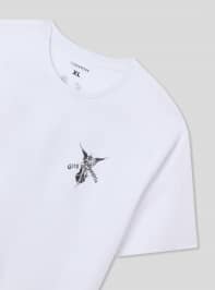 T-Shirt MC Pánské Terranova