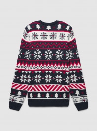 Sweter Uomo Terranova