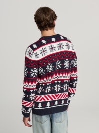 Sweter Uomo Terranova