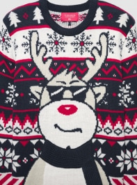 Sweter Uomo Terranova