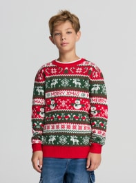 Sweter Chłopiec Terranova