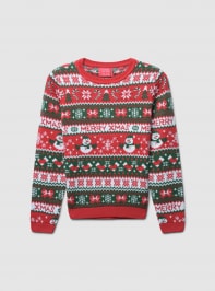 Sweater 3-5 Girls Terranova