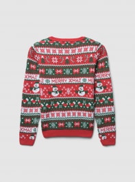 Sweater 3-5 Girls Terranova