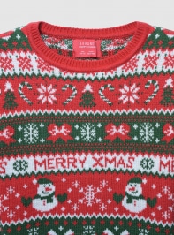 Sweater 3-5 Girls Terranova