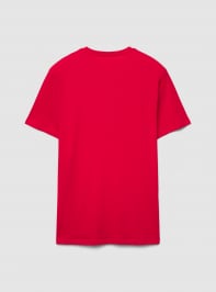Camiseta manga corta Hombre Terranova