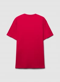 T-Shirt MC Homme Terranova