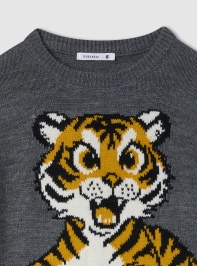 Pullover 3-5 Femme Terranova