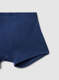 Slip Uomo Terranova