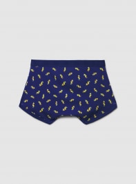 Slip Uomo Terranova