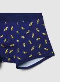 Slip Uomo Terranova