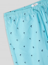 Bikini gaćice Muškarci Terranova