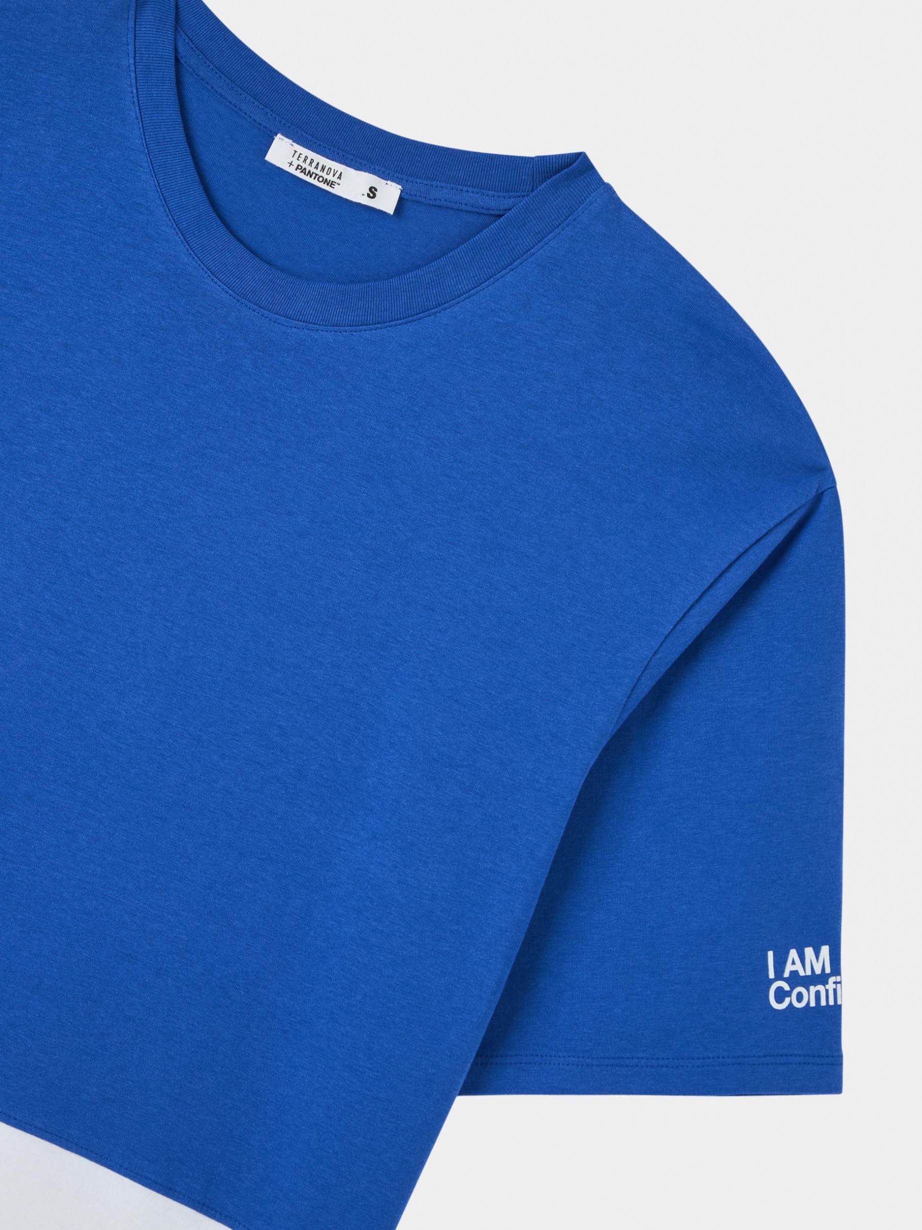 Blue Oversized T-shirt in block Pantone colour - Buy Online | Terranova