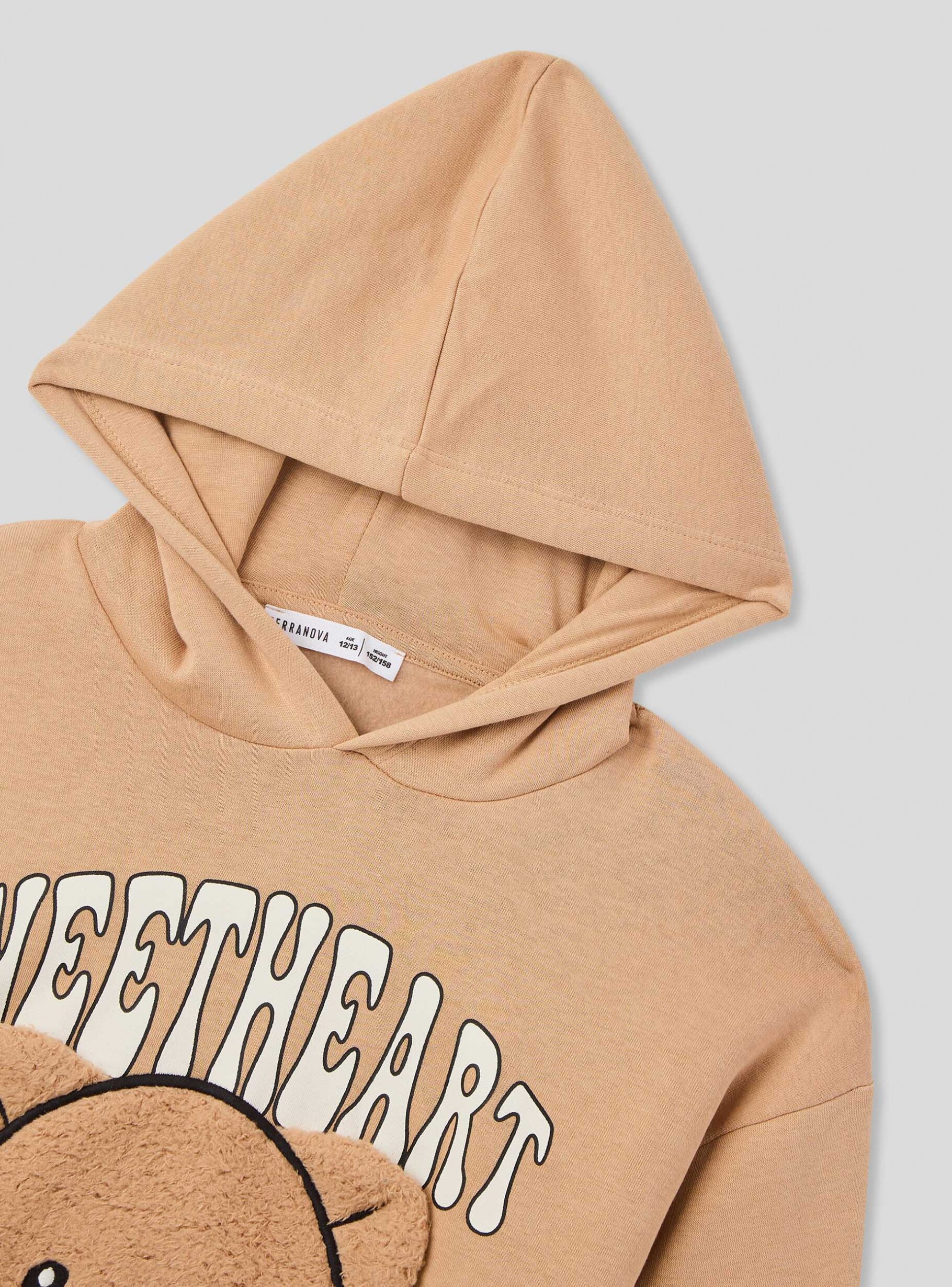 Teddy bear that turns into a hoodie store