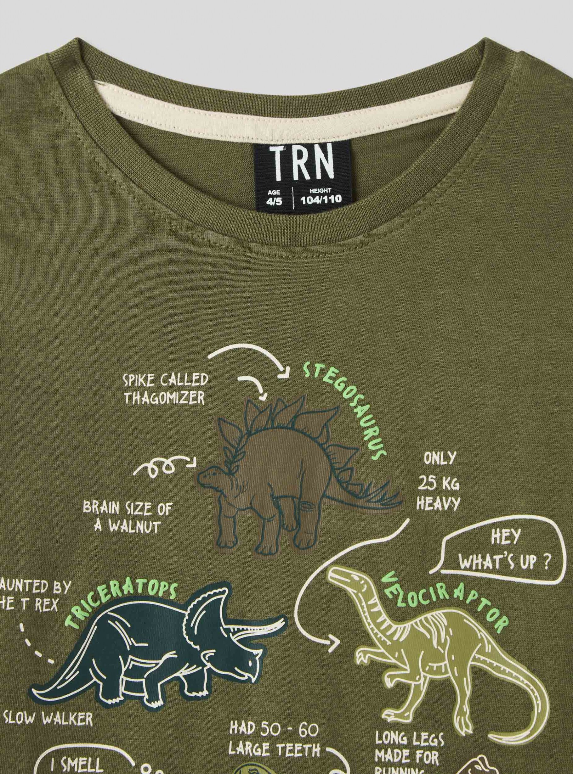Green military light T-shirt with dinosaur print - Buy Online | Terranova