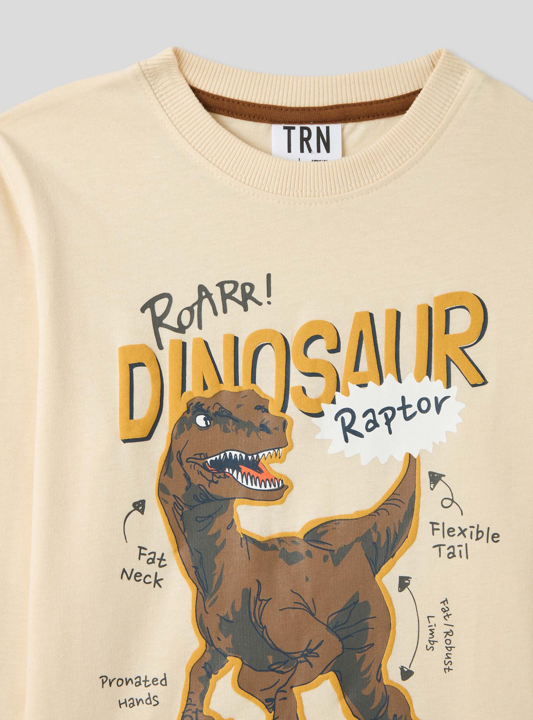 T shirt a manches longues avec motif dinosaure Ivoire Achetez en ligne Terranova
