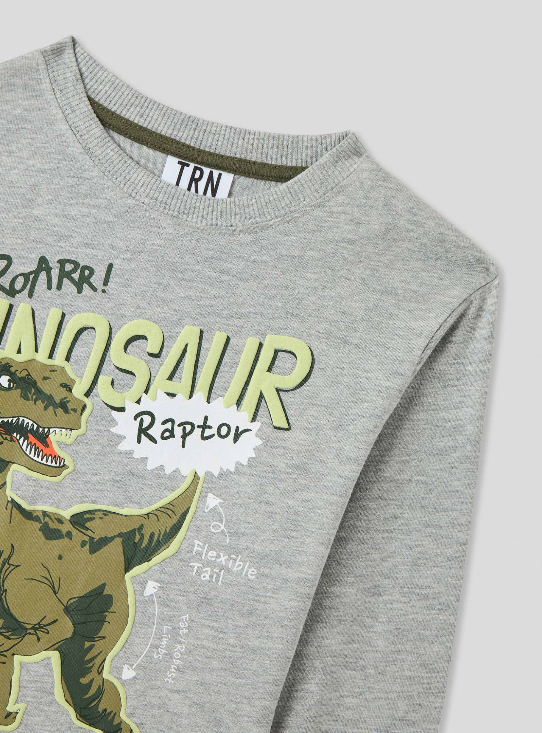 Chandail dinosaure deals