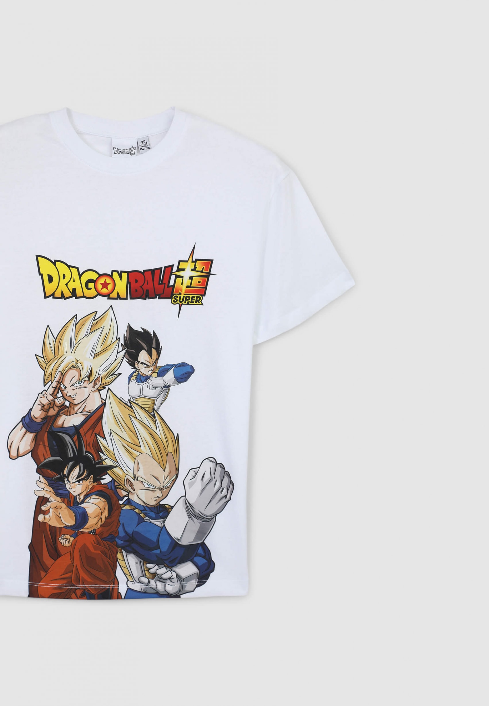 SAB0071179001S347_st_a3_043002