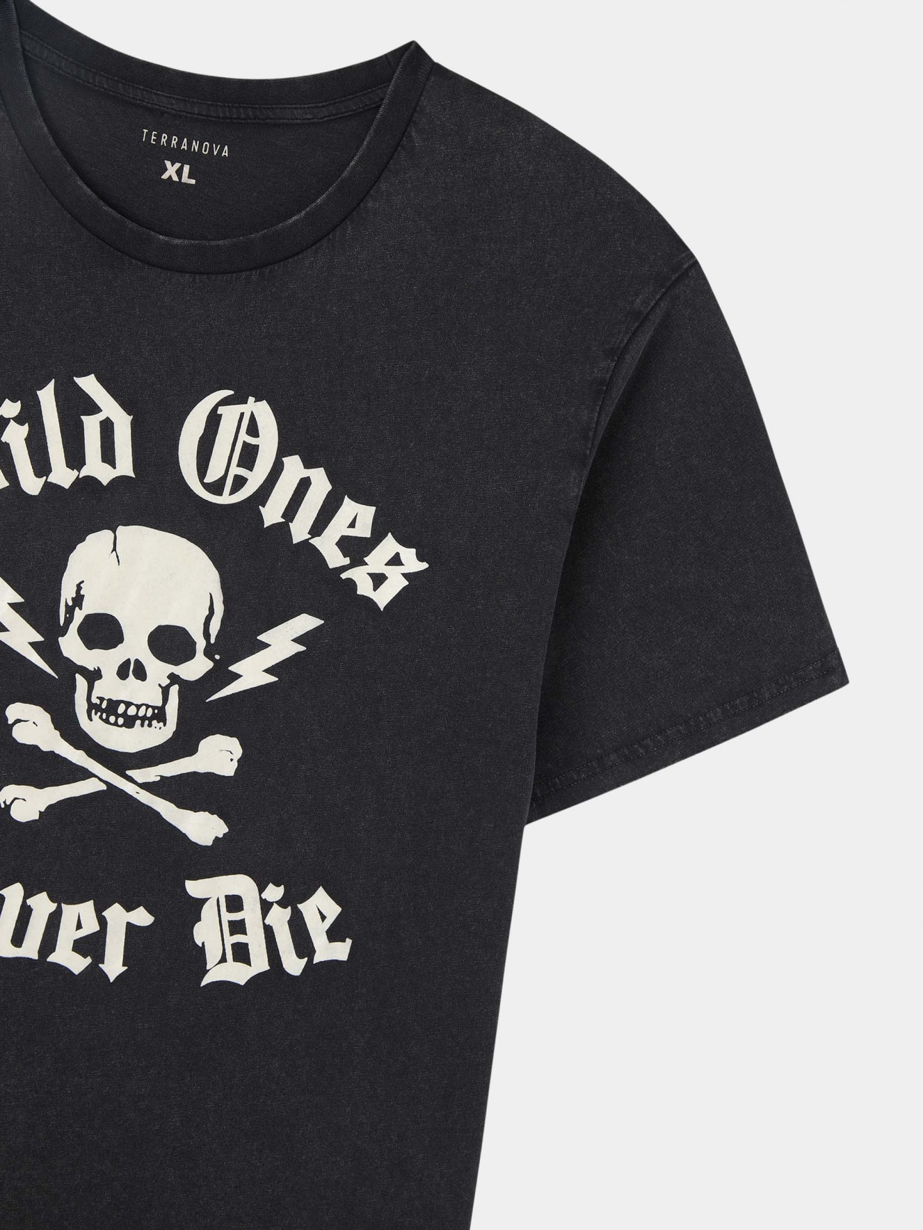 T-Shirt MC Homme Terranova