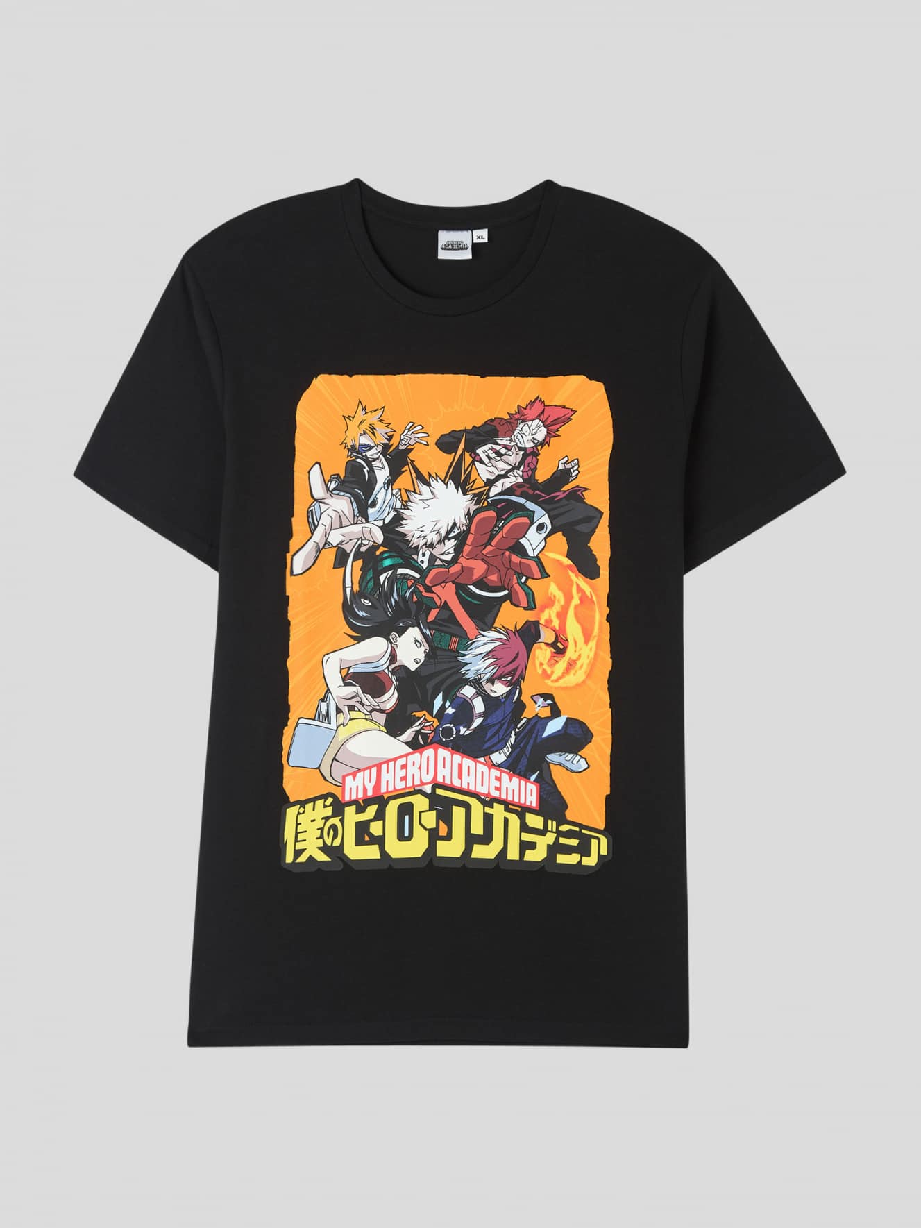 T-Shirt MC Homme Terranova