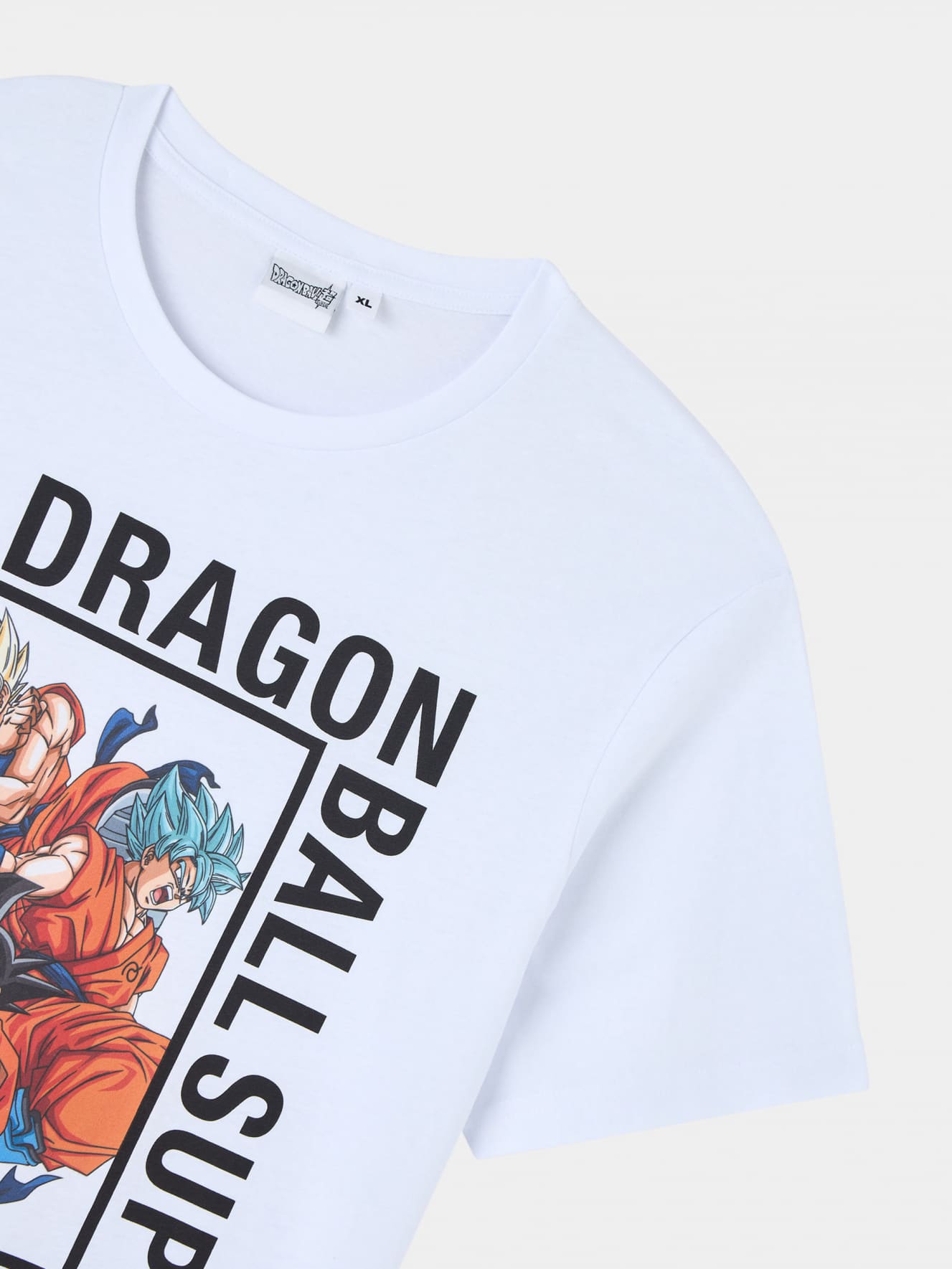 T-Shirt MC Homme Terranova