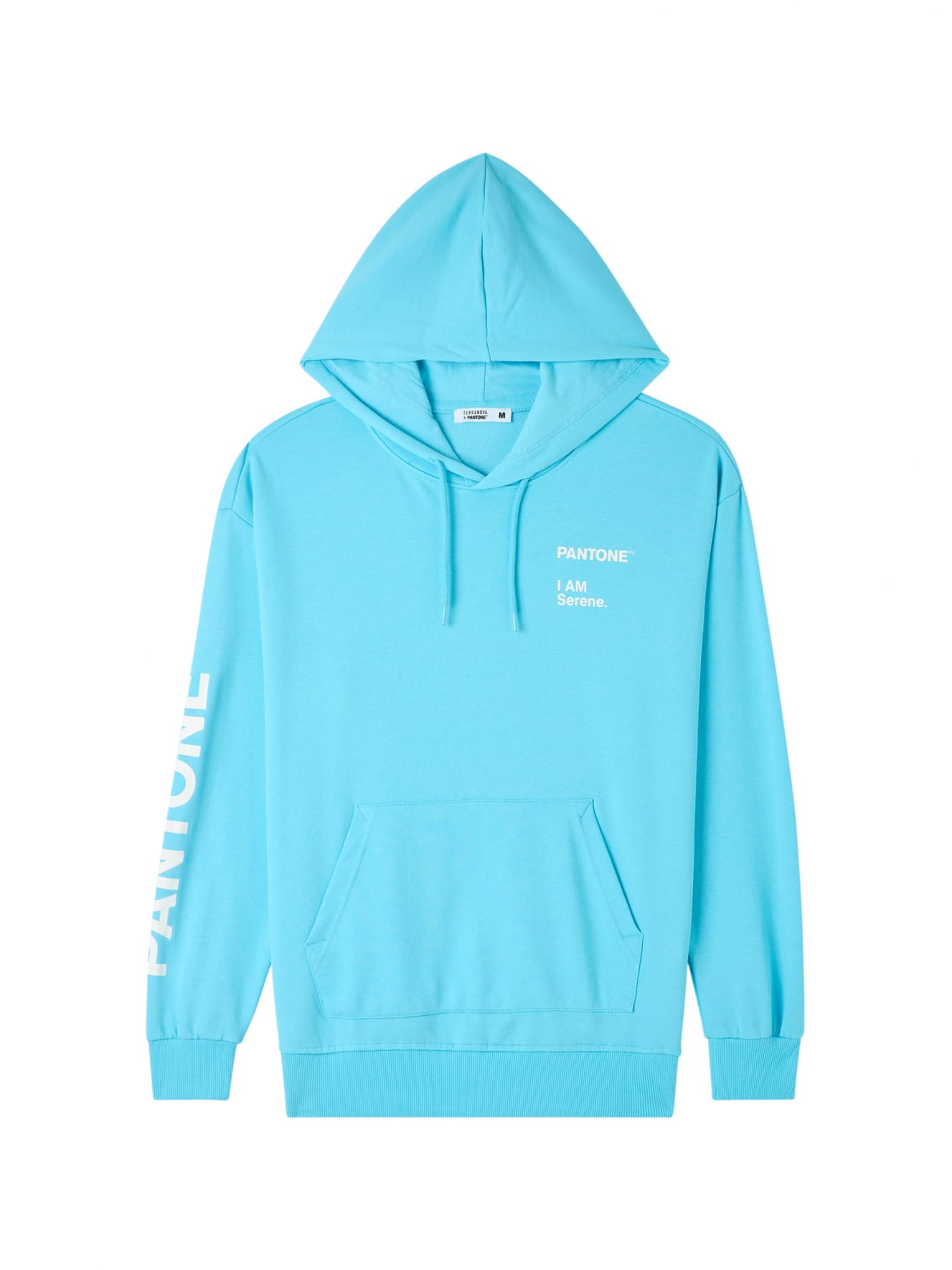 Light blue Oversized hoodie with Pantone print Buy Online Terranova