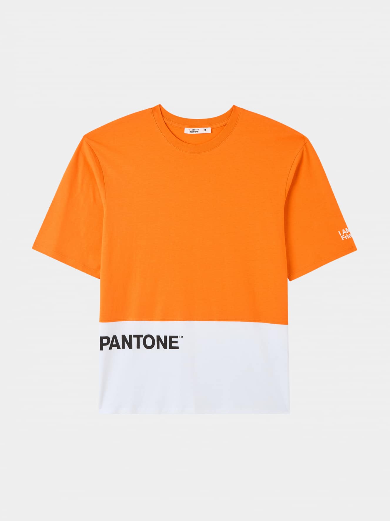T-Shirt MC Damen Terranova