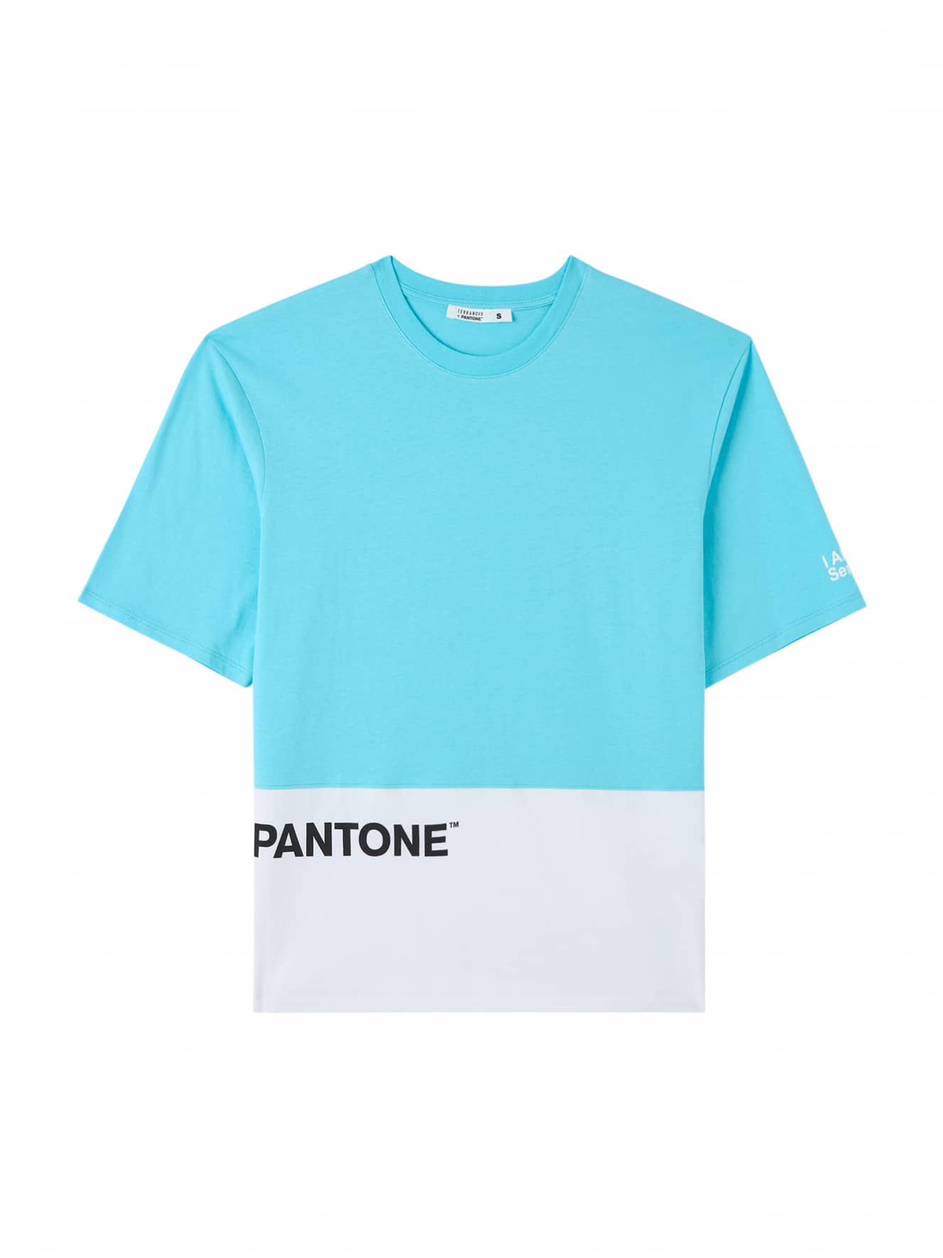 Light blue Oversized T shirt in block Pantone colour Buy Online Terranova