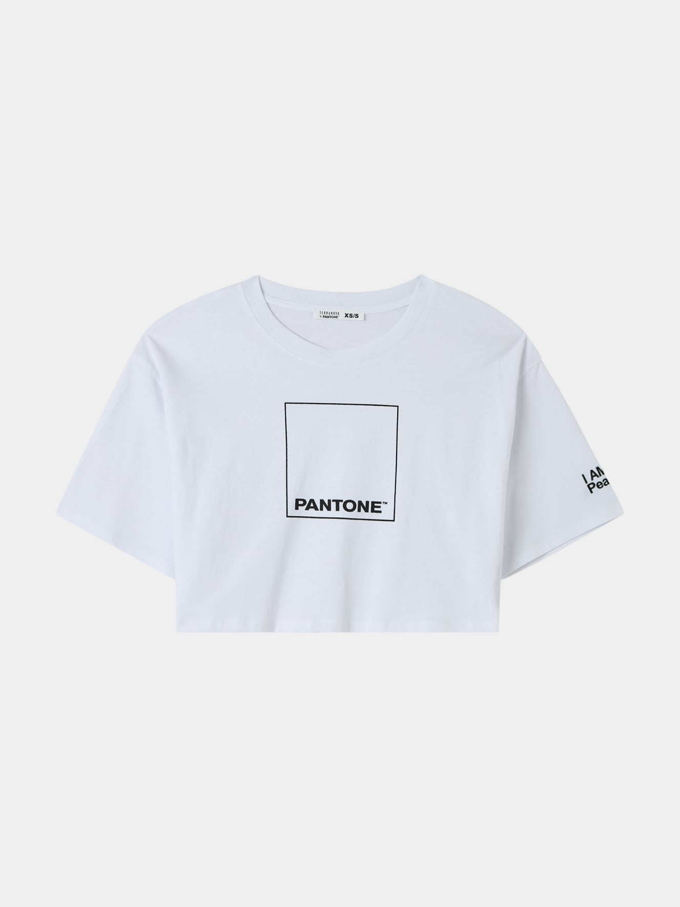 T-Shirt MC Donna Terranova