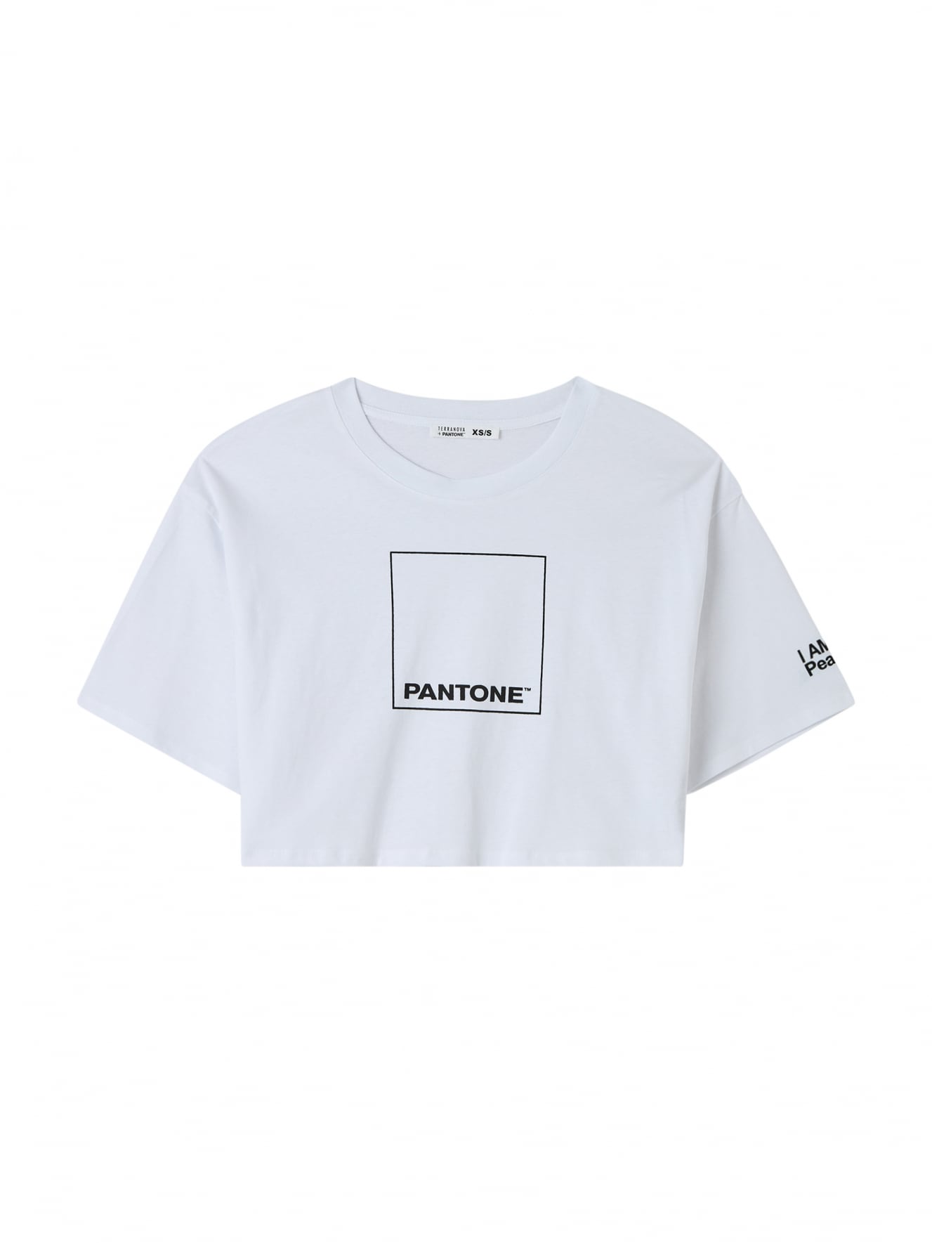 T-Shirt MC Donna Terranova