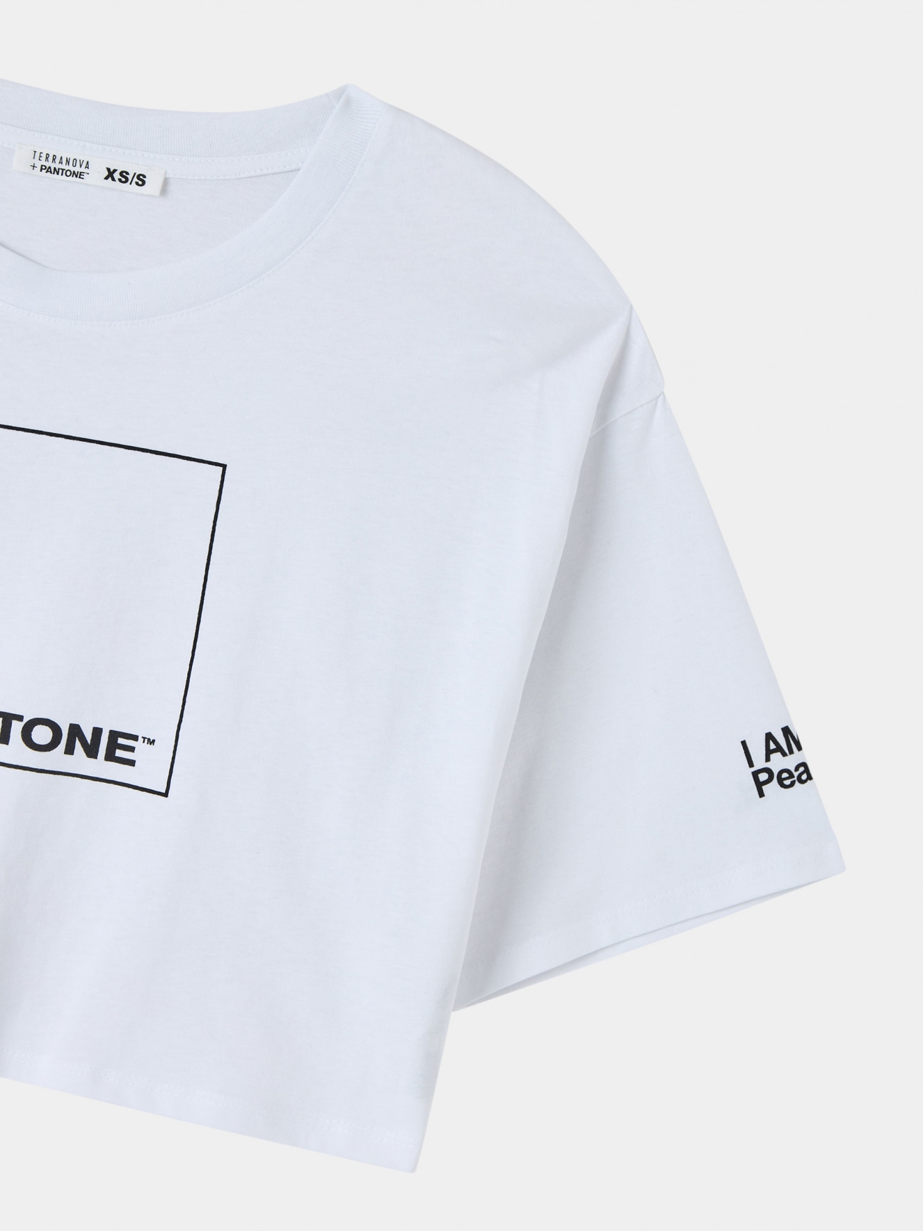 T-Shirt MC Donna Terranova