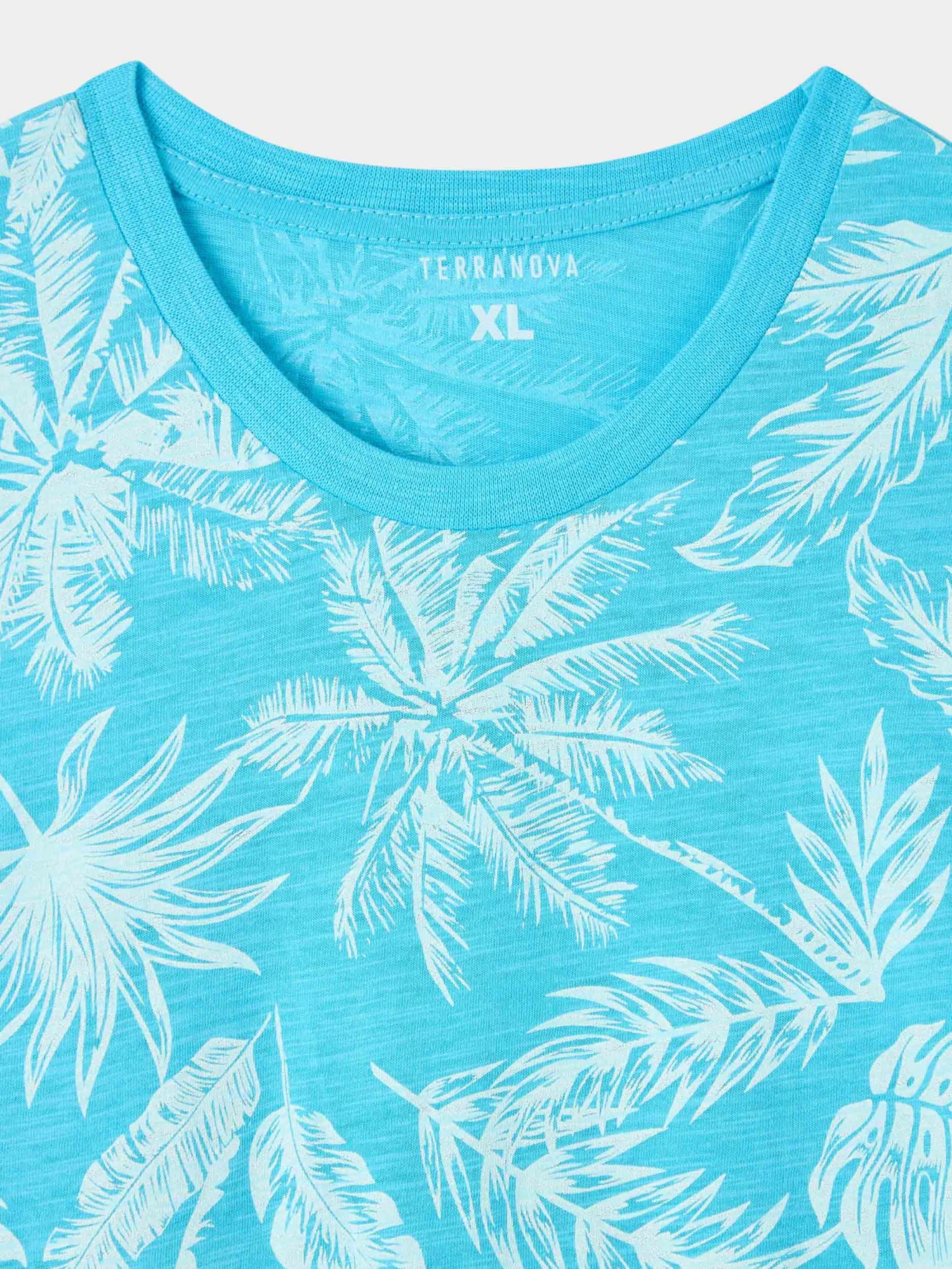 T-Shirt MC Homme Terranova