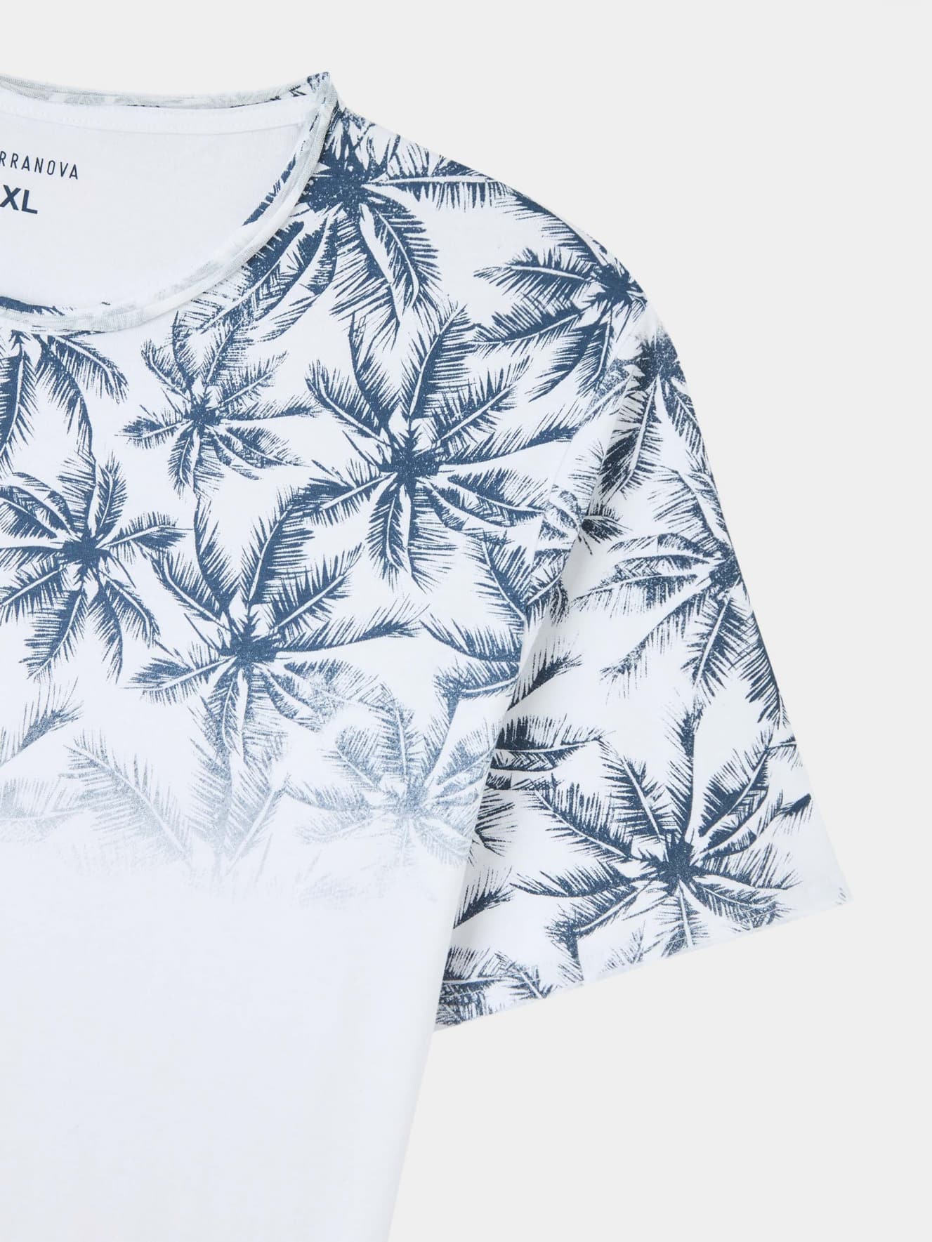 T-Shirt MC Homme Terranova