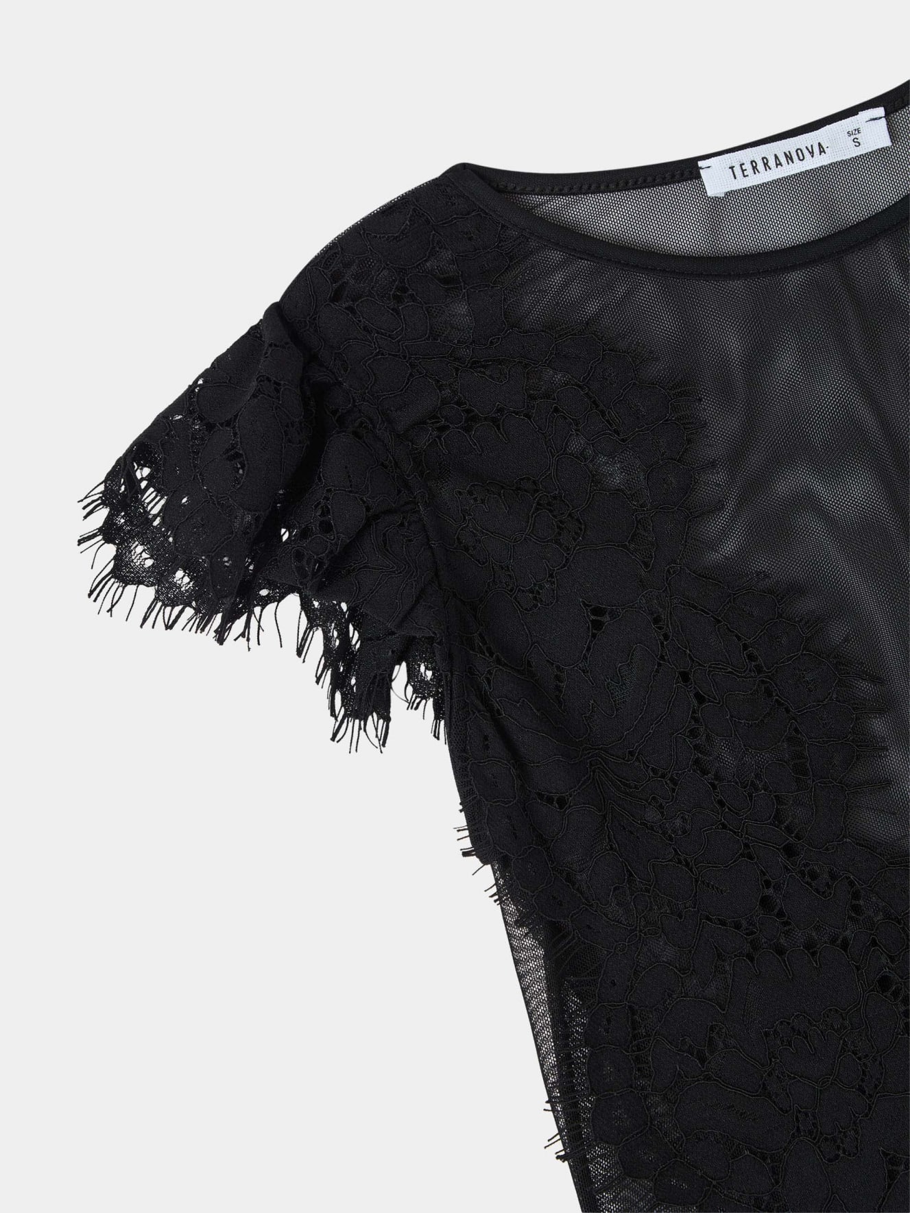 T-Shirt MC Femme Terranova
