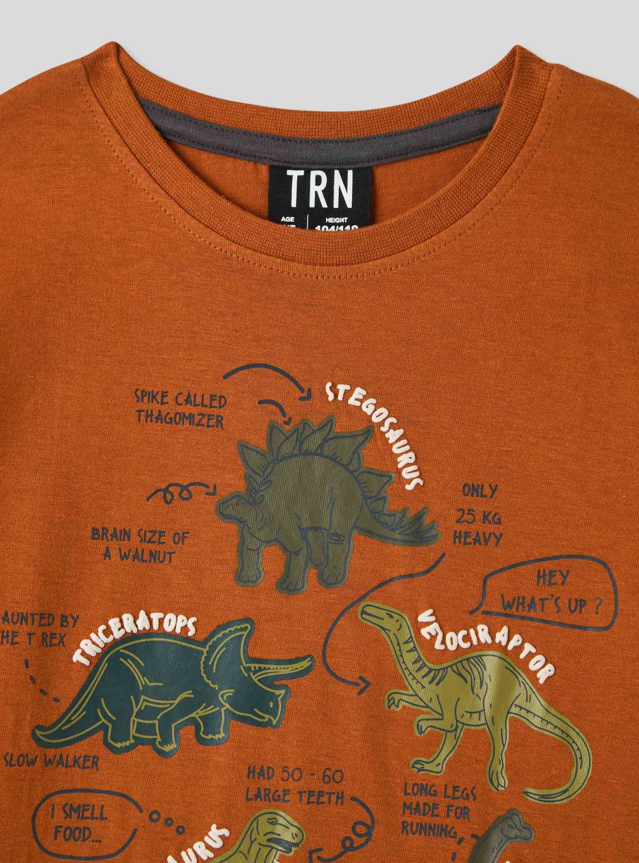 T shirt con stampa dinosauri ruggine Terranova