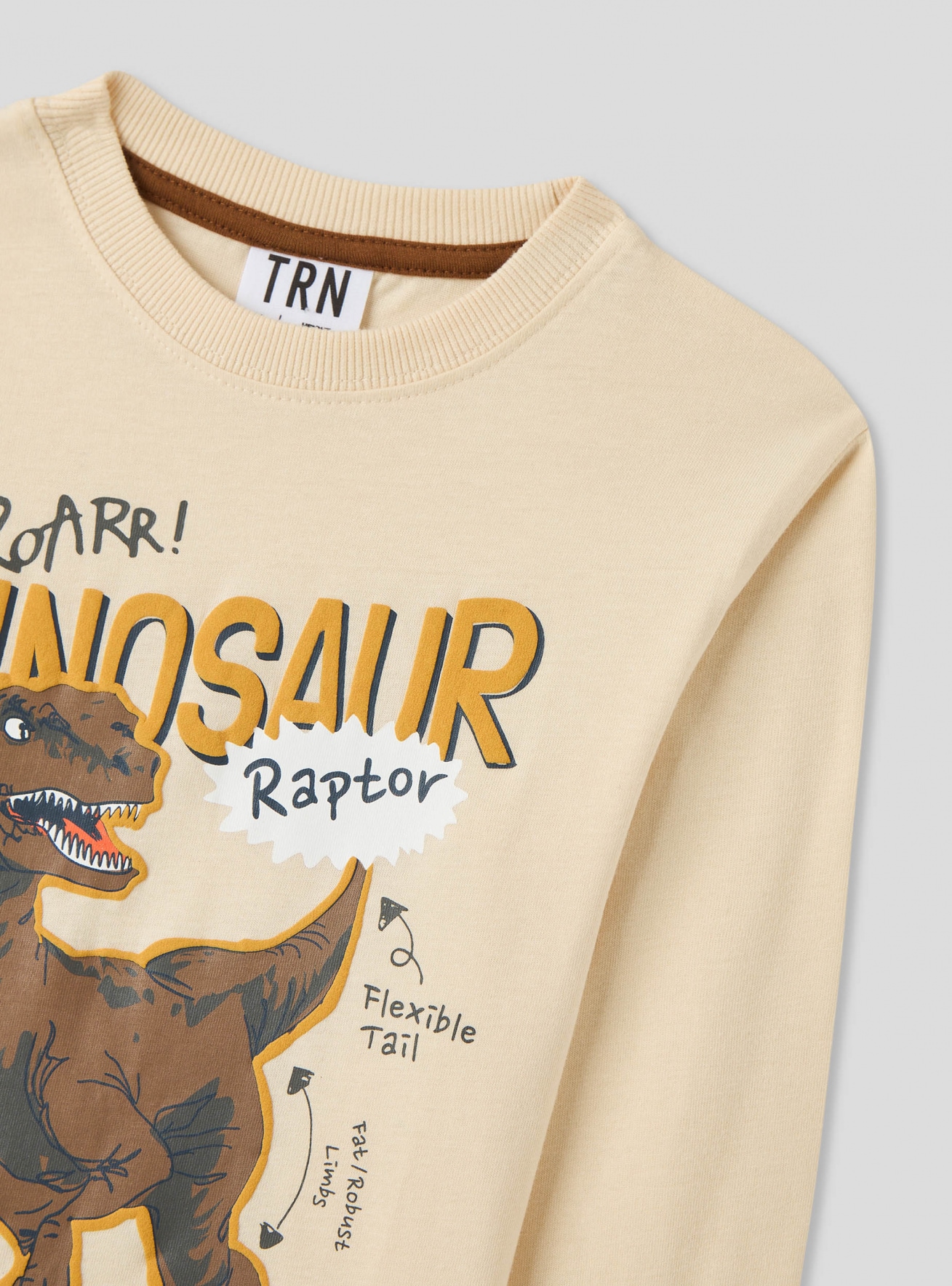 Long-sleeved T-shirt Boys Terranova