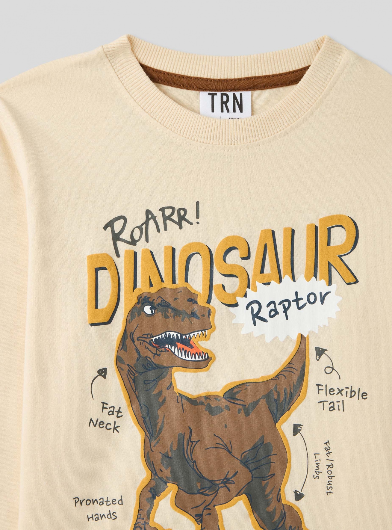 Long-sleeved T-shirt Boys Terranova