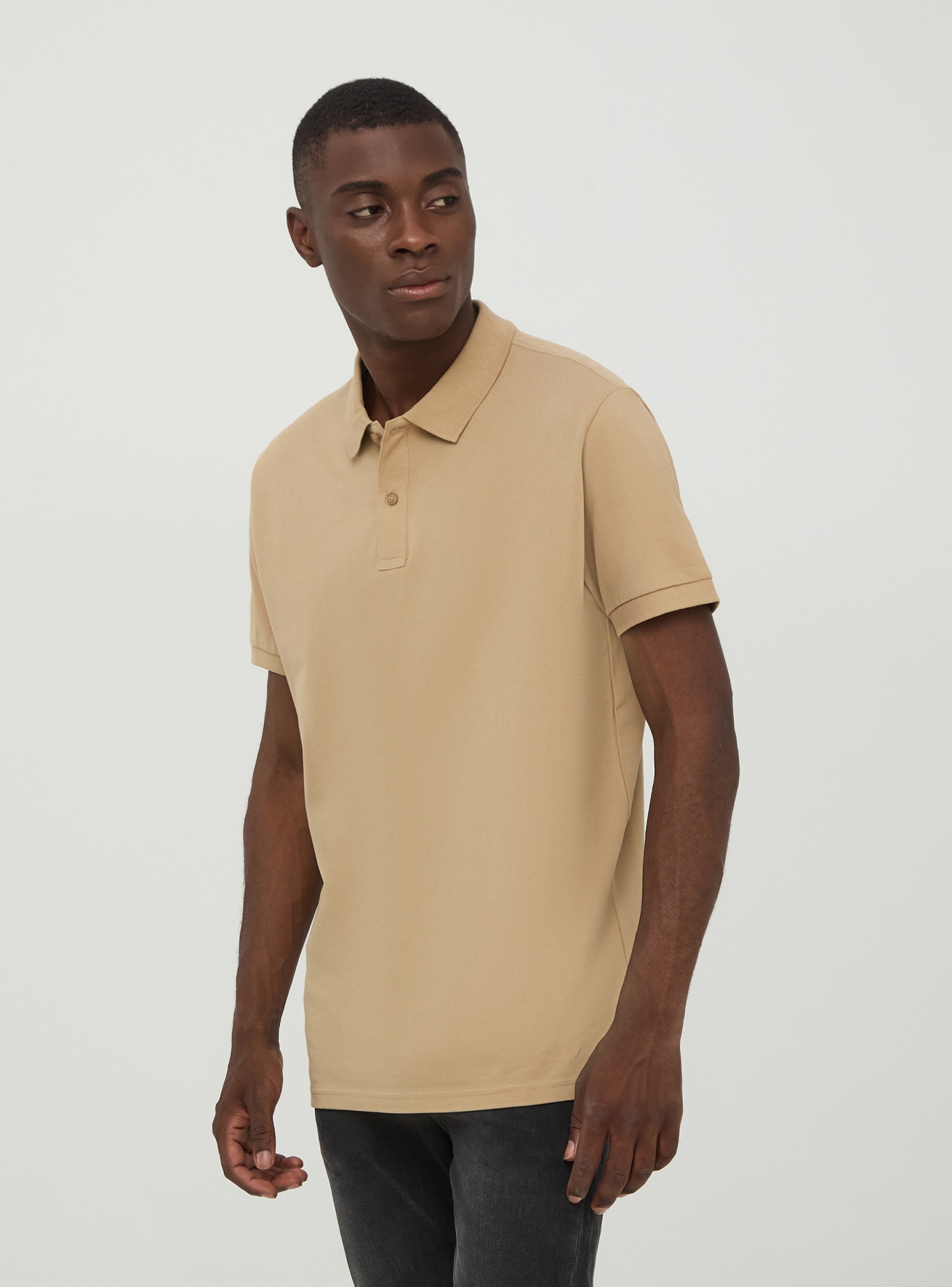 T-Shirt MC Homme Terranova