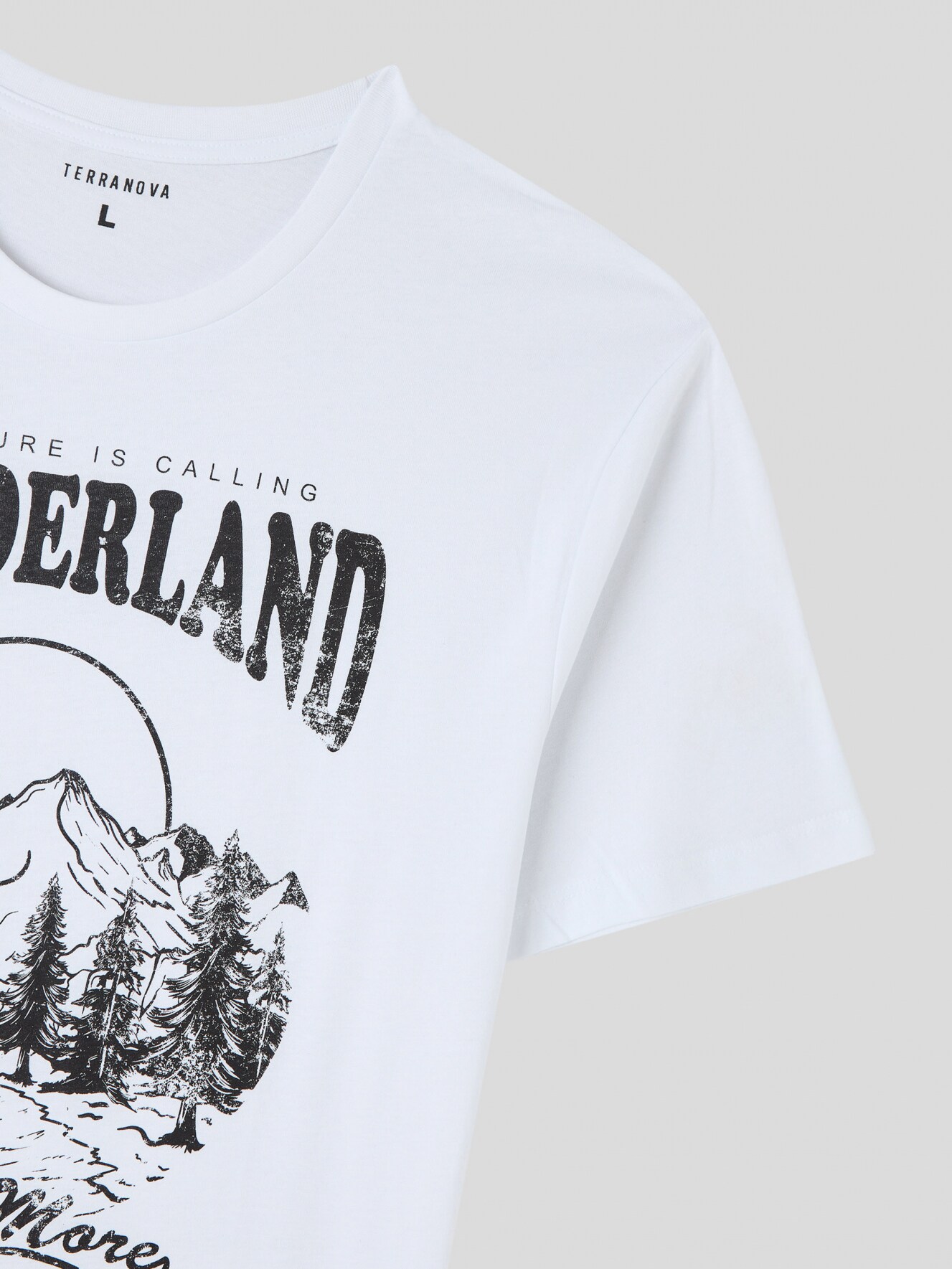 T-Shirt MC Homme Terranova