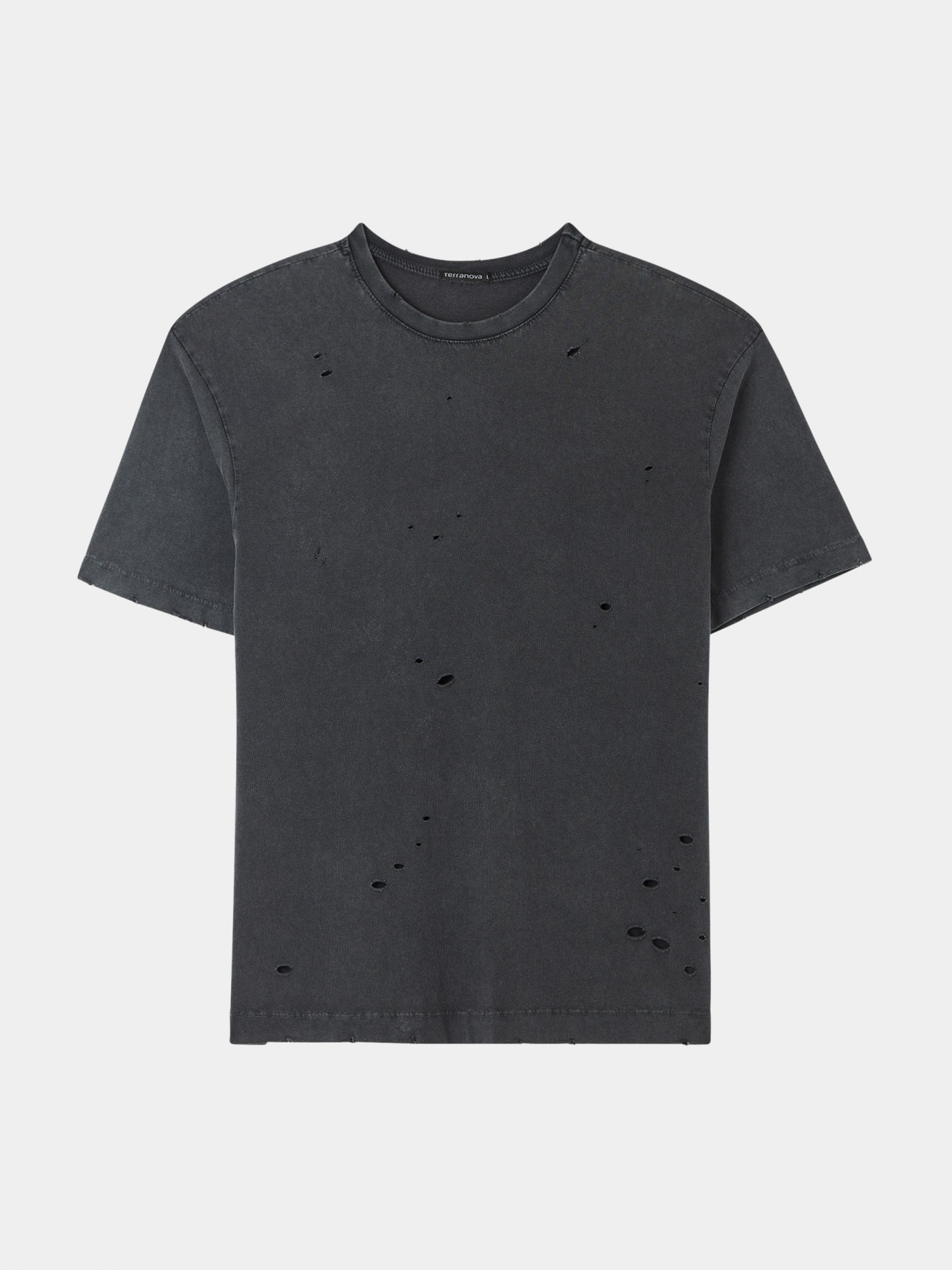 T-Shirt MC Homme Terranova