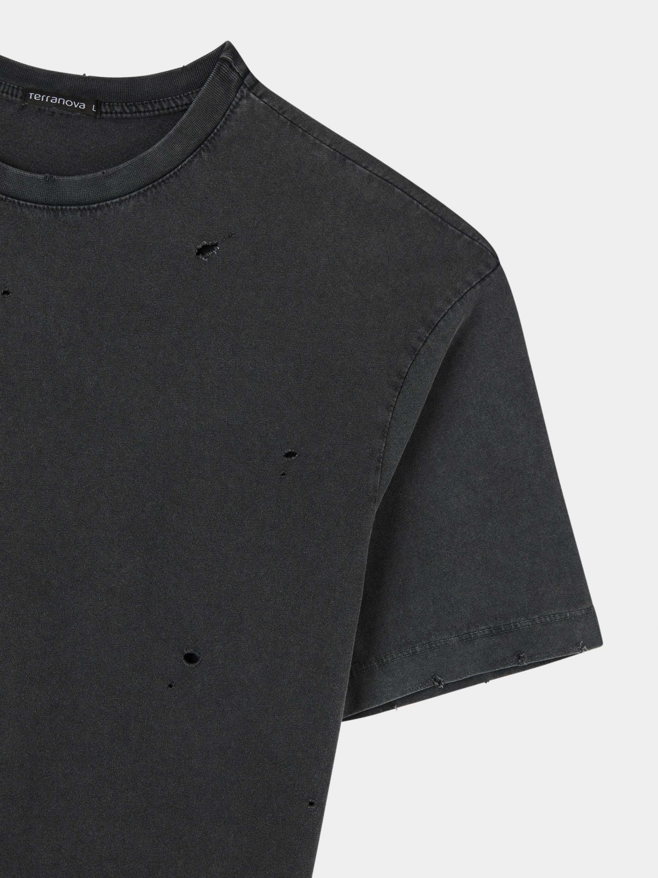 T-Shirt MC Homme Terranova