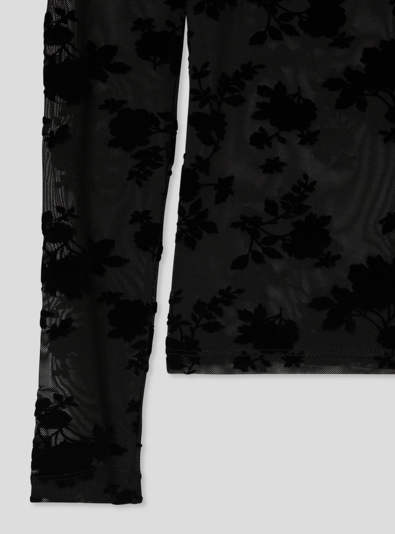 T-Shirt ML Donna Terranova