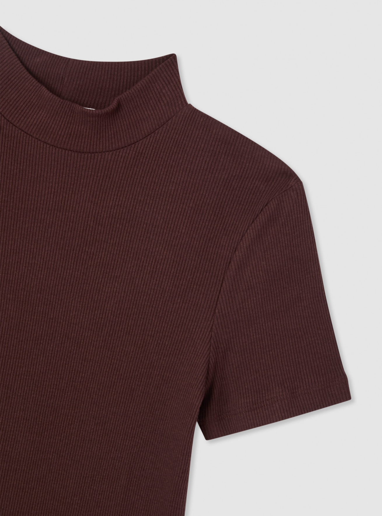 T-Shirt MC Damen Terranova