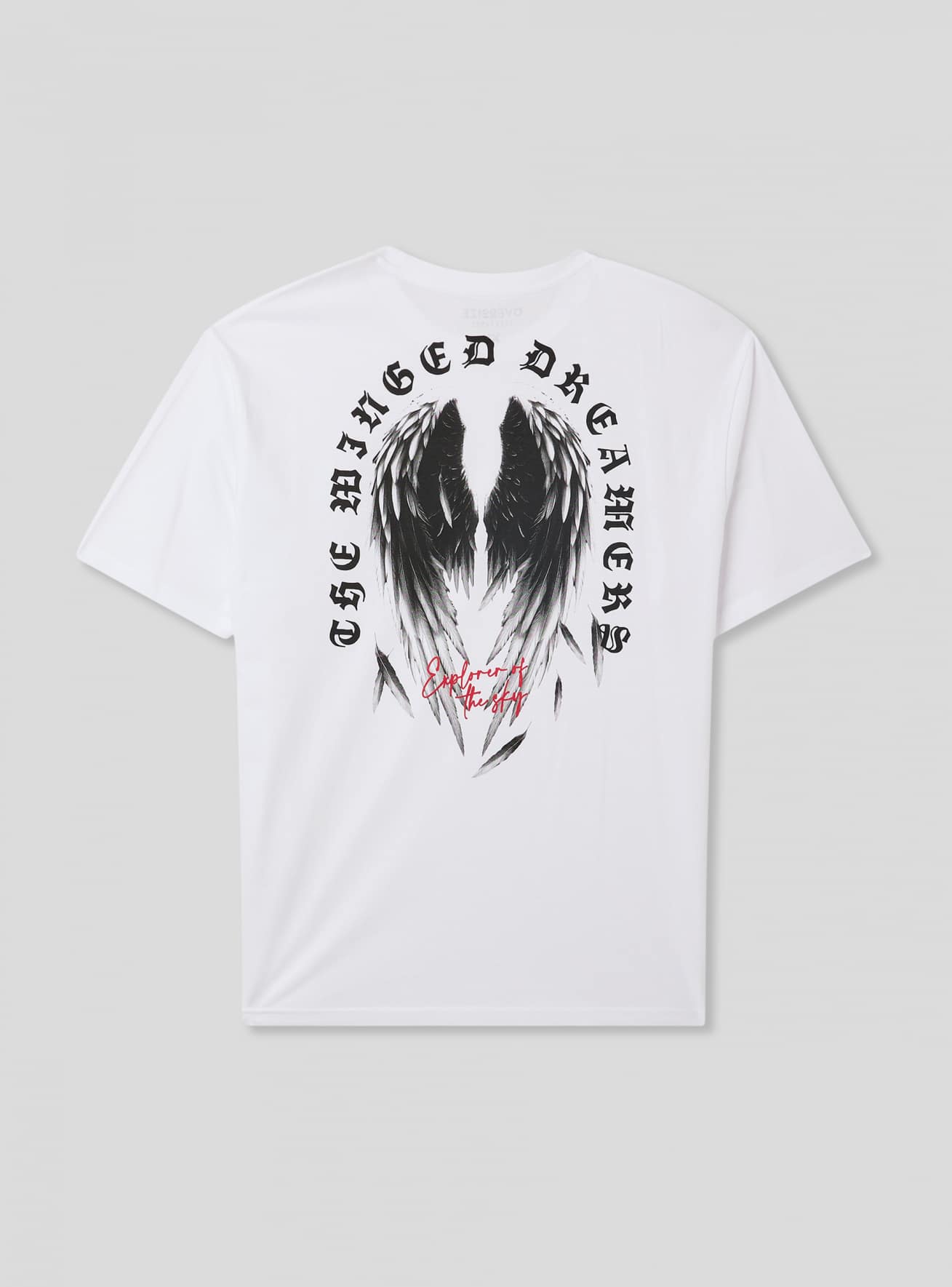T-Shirt MC Homme Terranova