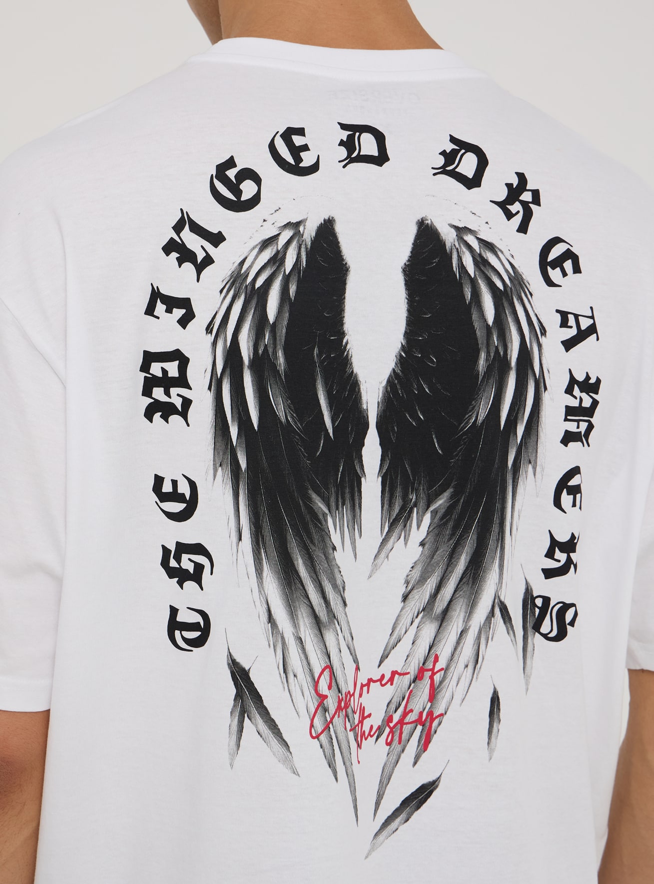 T-Shirt MC Homme Terranova