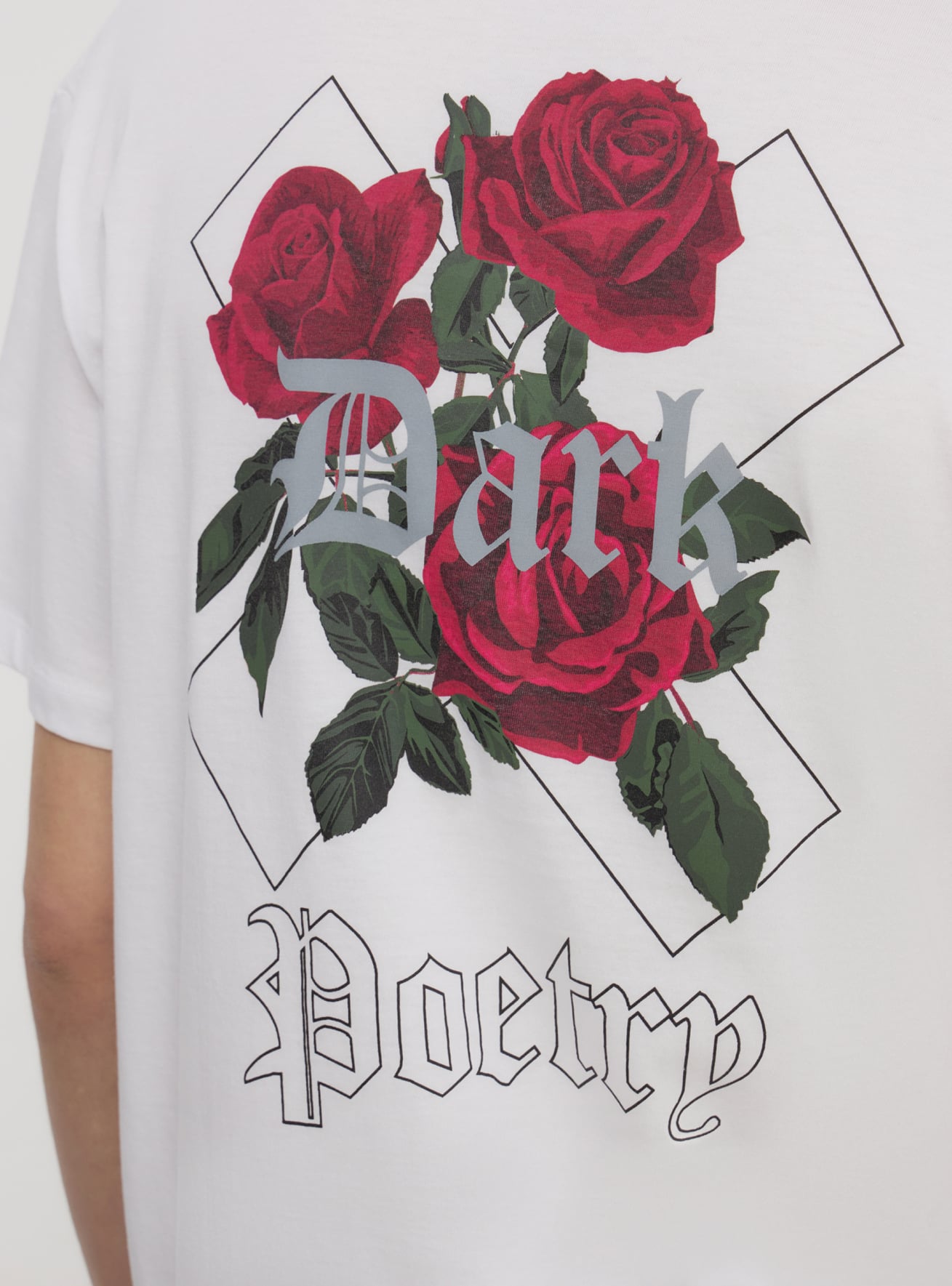 T-Shirt MC Pánské Terranova