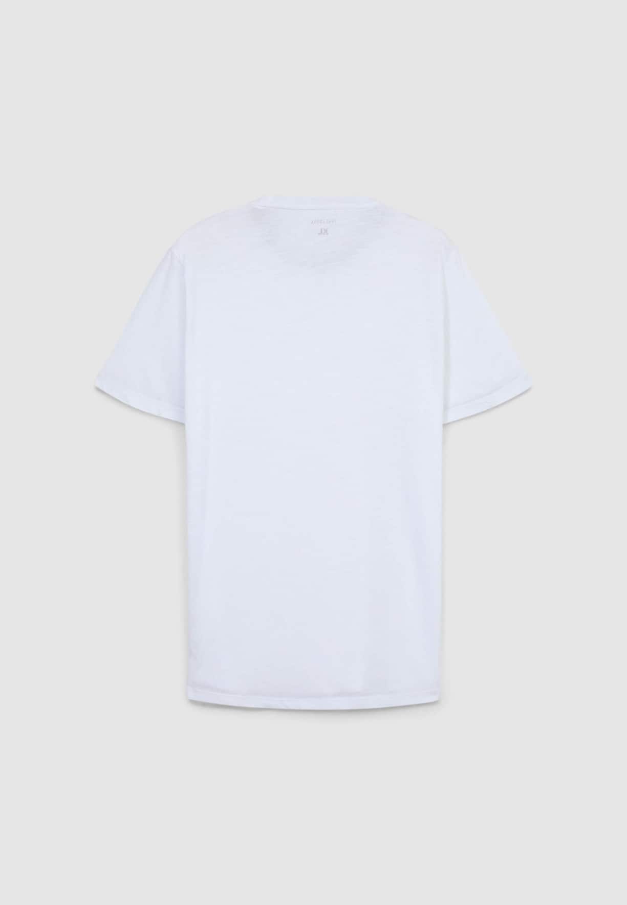 T-Shirt MC Pánské Terranova