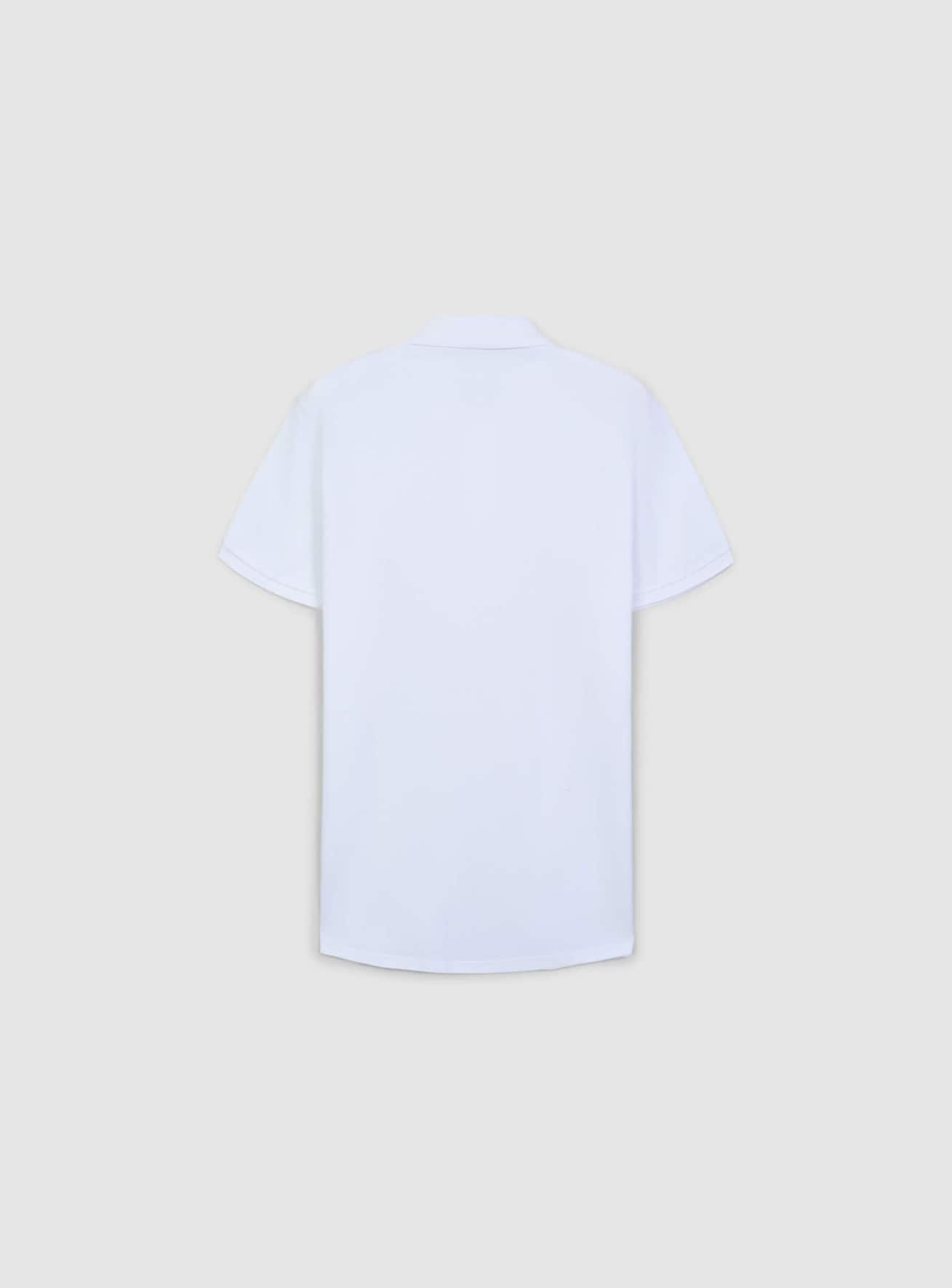 T-Shirt MC Pánské Terranova